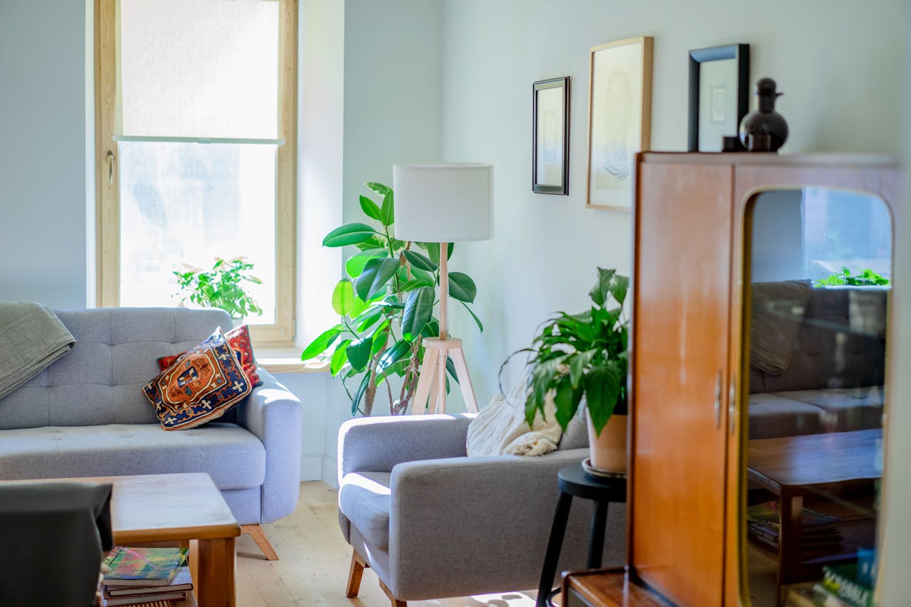 Обилие растений в экоинтерьере